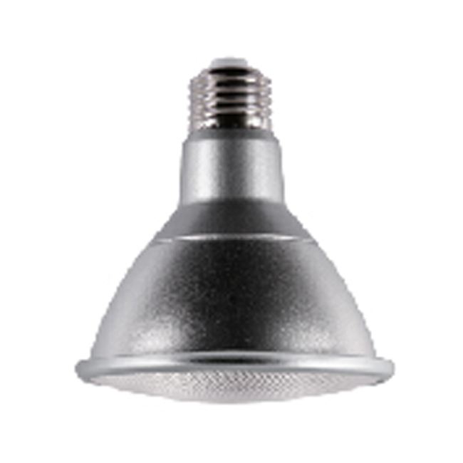 FSL LED BULB PAR30A1 GREEN